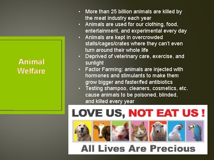 Animal Welfare • More than 25 billion animals are killed by the meat industry