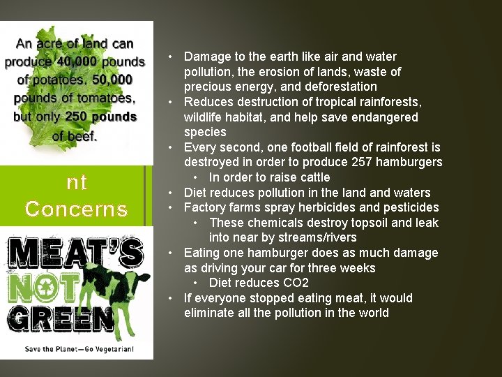 Environme nt Concerns • Damage to the earth like air and water pollution, the