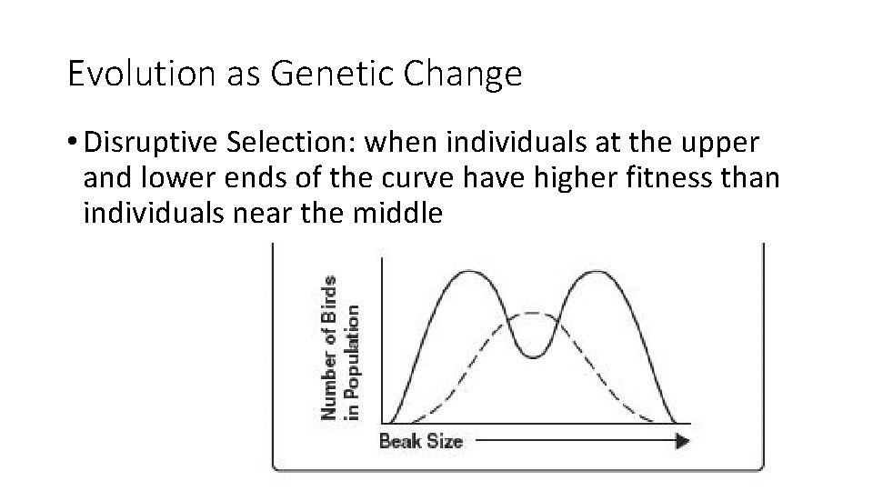 Evolution as Genetic Change • Disruptive Selection: when individuals at the upper and lower