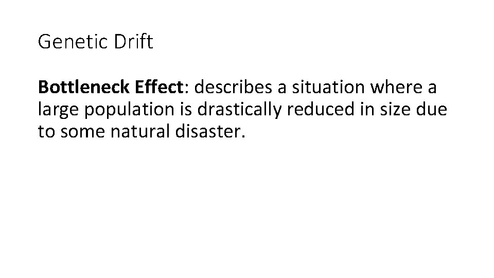 Genetic Drift Bottleneck Effect: describes a situation where a large population is drastically reduced