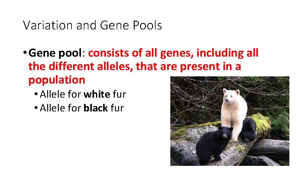 Variation and Gene Pools • Gene pool: consists of all genes, including all the