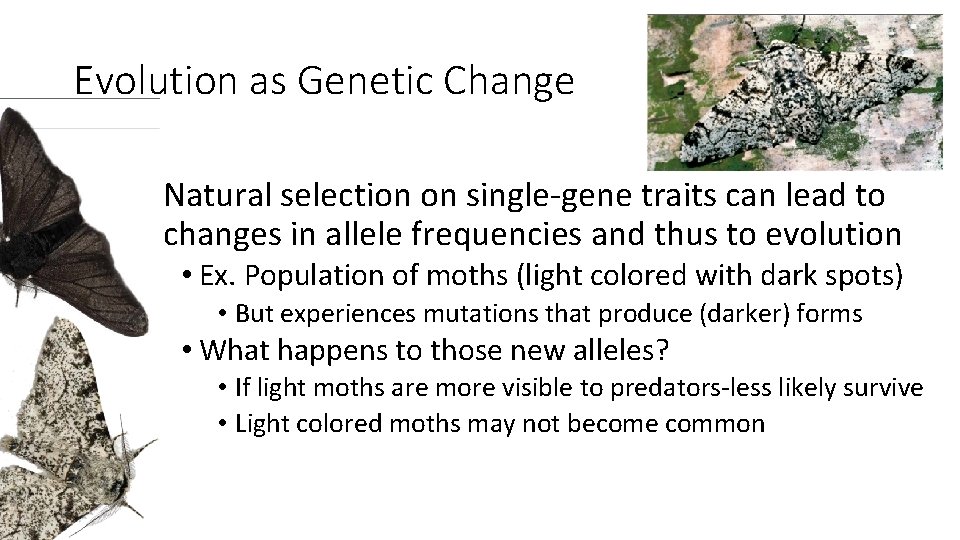 Evolution as Genetic Change • Natural selection on single-gene traits can lead to changes