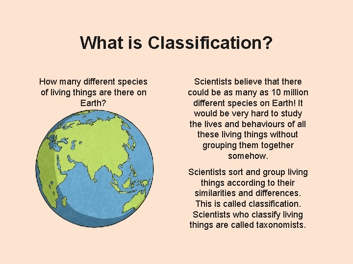 What is Classification? How many different species of living things are there on Earth?