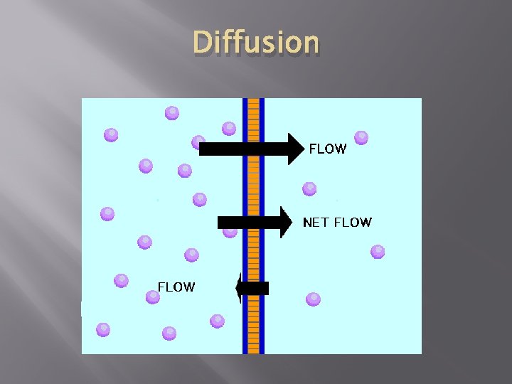 Diffusion 