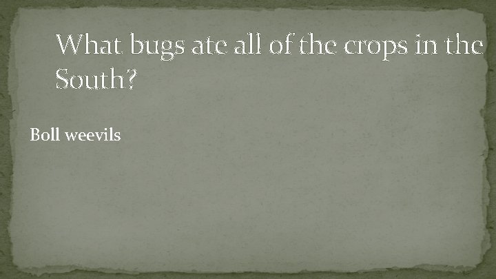 What bugs ate all of the crops in the South? Boll weevils 