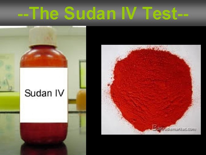 --The Sudan IV Test-- 