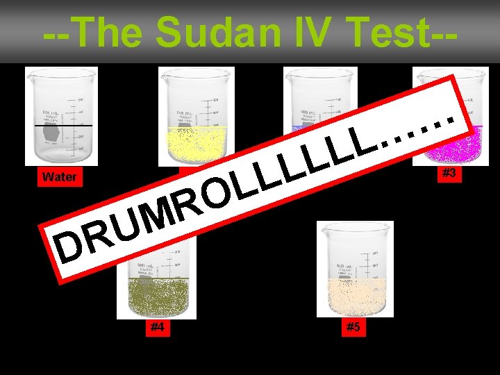 --The Sudan IV Test-- Water L L O R M L L LL #1