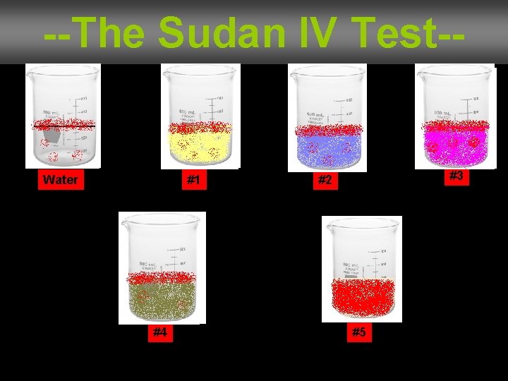 --The Sudan IV Test-- Water #1 #4 #3 #2 #5 
