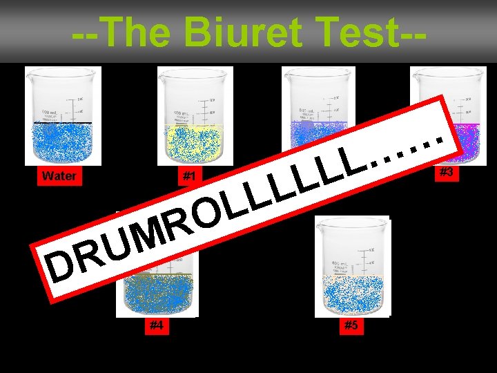 --The Biuret Test-- L L L O Water #1 … … L L L