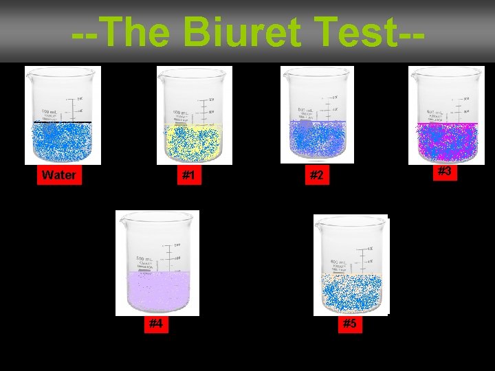 --The Biuret Test-- Water #1 #4 #3 #2 #5 