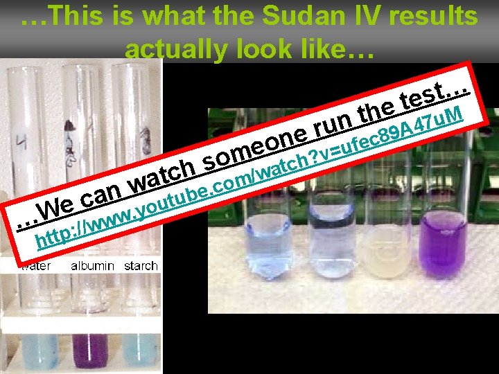 …This is what the Sudan IV results actually look like… h t un …W