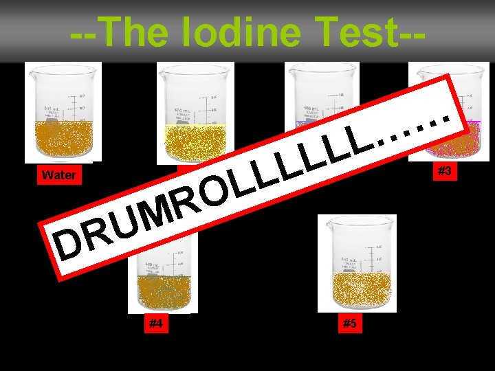 --The Iodine Test-- Water L L O R M L L LL #1 #2