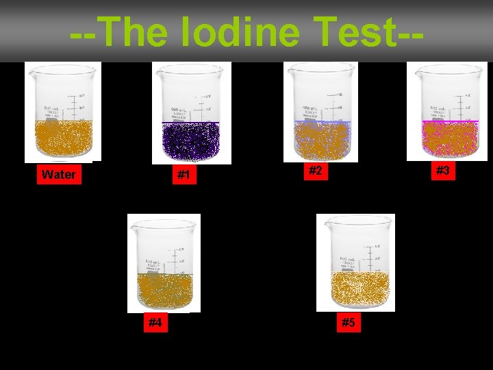 --The Iodine Test-- Water #1 #4 #2 #3 #5 