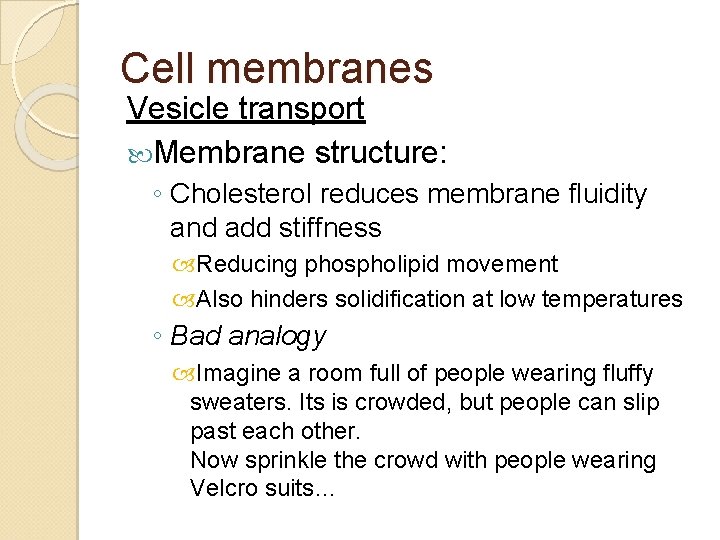 Cell membranes Vesicle transport Membrane structure: ◦ Cholesterol reduces membrane fluidity and add stiffness Cell membranes Vesicle transport Membrane structure: ◦ Cholesterol reduces membrane fluidity and add stiffness