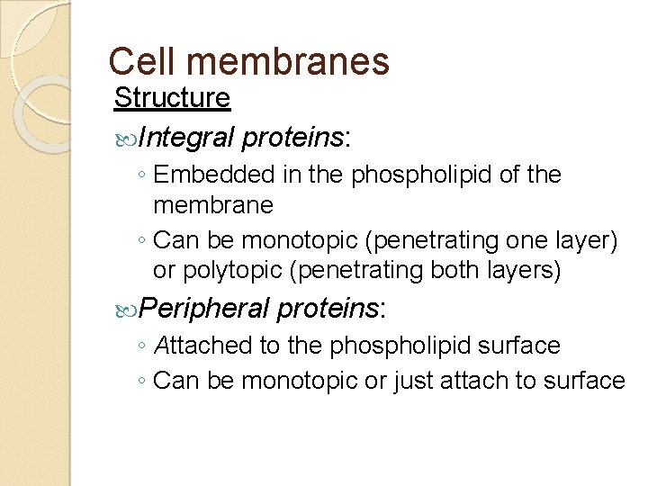 Cell membranes Structure Integral proteins: ◦ Embedded in the phospholipid of the membrane ◦ Cell membranes Structure Integral proteins: ◦ Embedded in the phospholipid of the membrane ◦