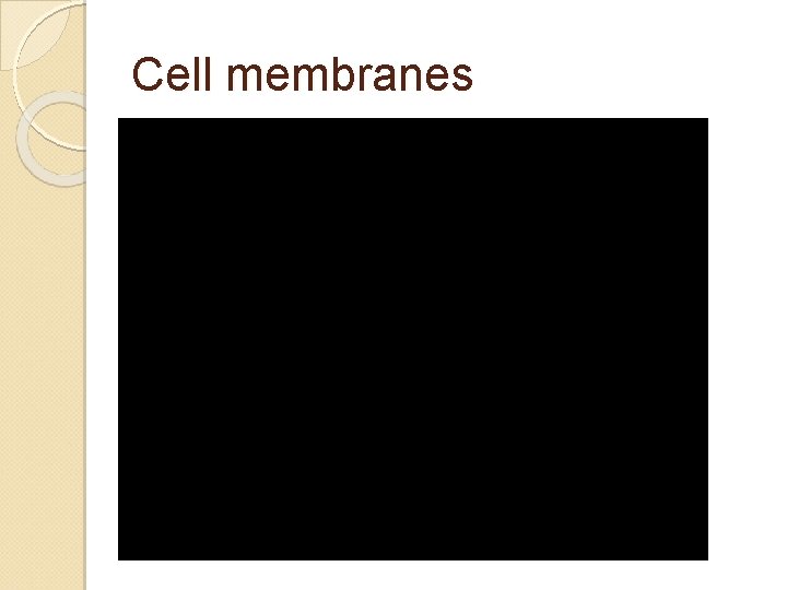 Cell membranes Cell membranes