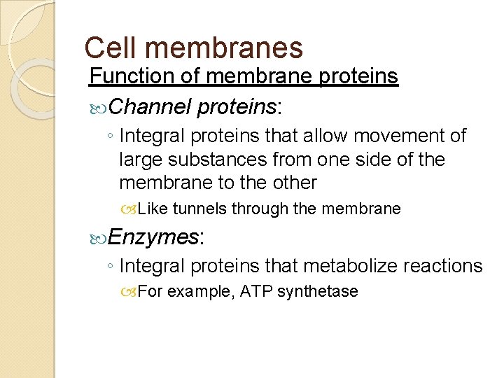 Cell membranes Function of membrane proteins Channel proteins: ◦ Integral proteins that allow movement Cell membranes Function of membrane proteins Channel proteins: ◦ Integral proteins that allow movement