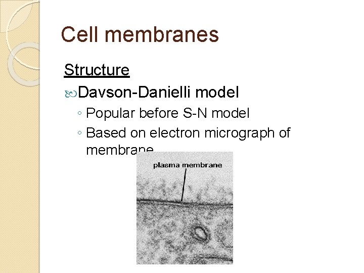 Cell membranes Structure Davson-Danielli model ◦ Popular before S-N model ◦ Based on electron Cell membranes Structure Davson-Danielli model ◦ Popular before S-N model ◦ Based on electron