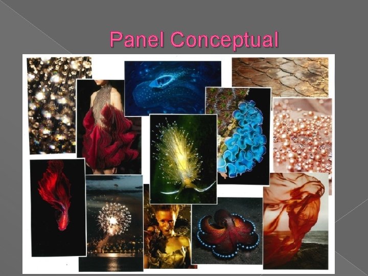Panel Conceptual 