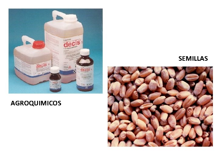 SEMILLAS AGROQUIMICOS 