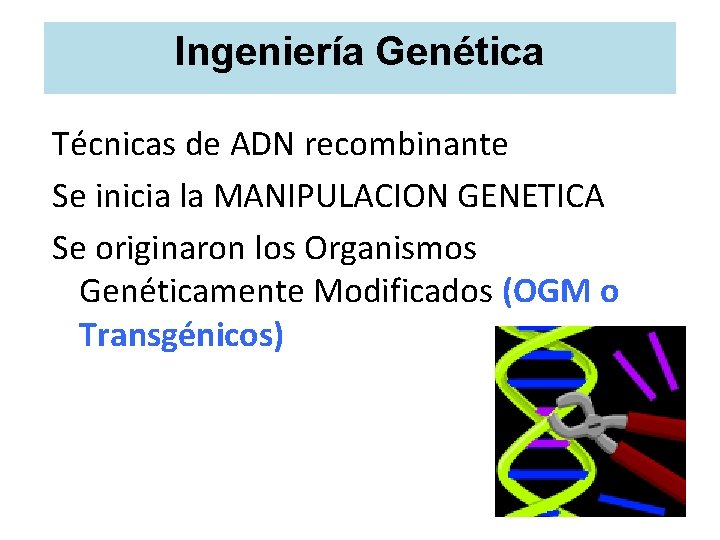 Ingeniería Genética Técnicas de ADN recombinante Se inicia la MANIPULACION GENETICA Se originaron los