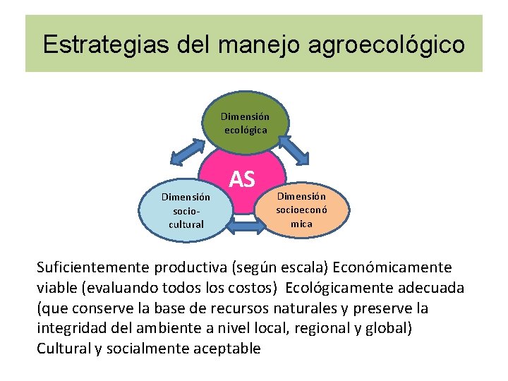 Estrategias del manejo agroecológico Dimensión ecológica Dimensión sociocultural AS Dimensión socioeconó mica Suficientemente productiva