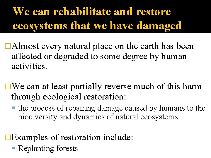 We can rehabilitate and restore ecosystems that we have damaged �Almost every natural place