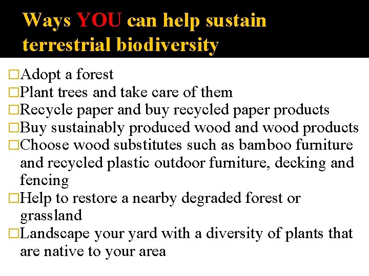 Ways YOU can help sustain terrestrial biodiversity �Adopt a forest �Plant trees and take