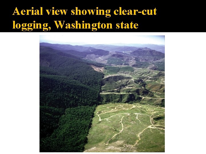 Aerial view showing clear-cut logging, Washington state 
