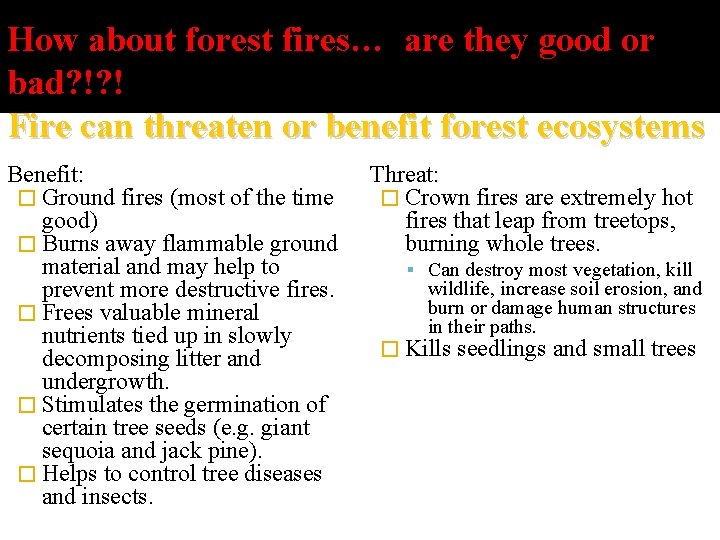 How about forest fires… are they good or bad? !? ! Fire can threaten