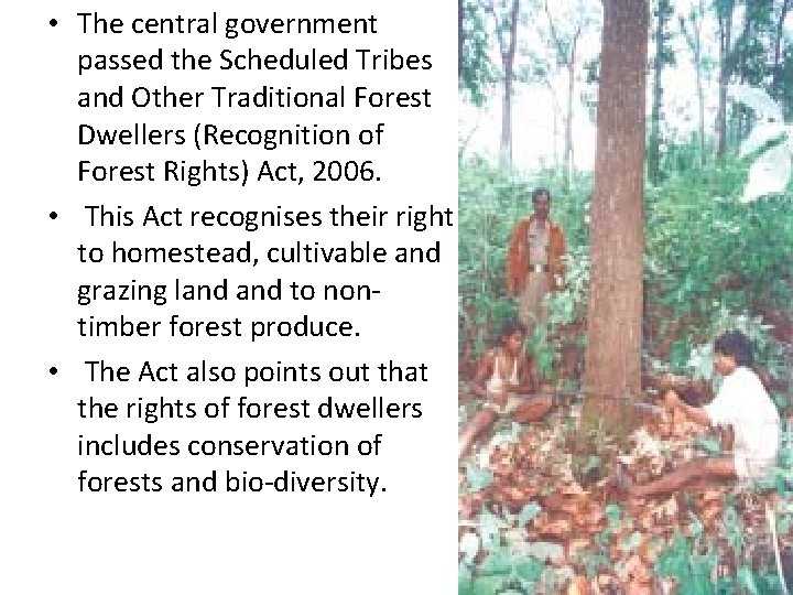  • The central government passed the Scheduled Tribes and Other Traditional Forest Dwellers
