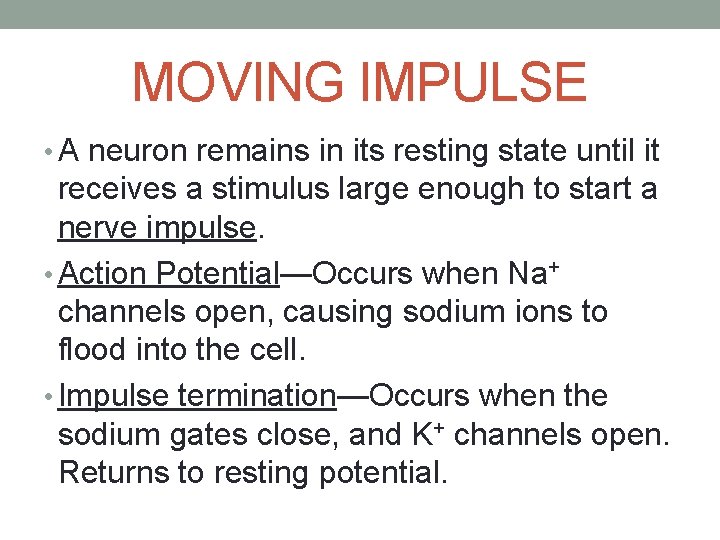 MOVING IMPULSE • A neuron remains in its resting state until it receives a