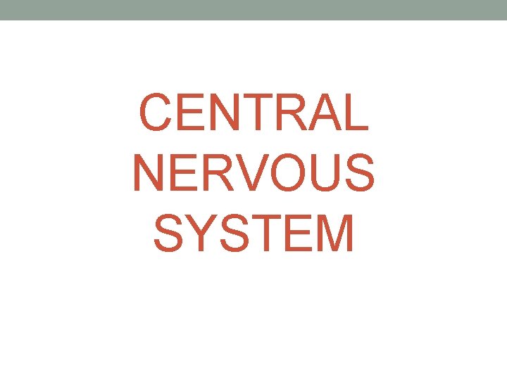 CENTRAL NERVOUS SYSTEM 