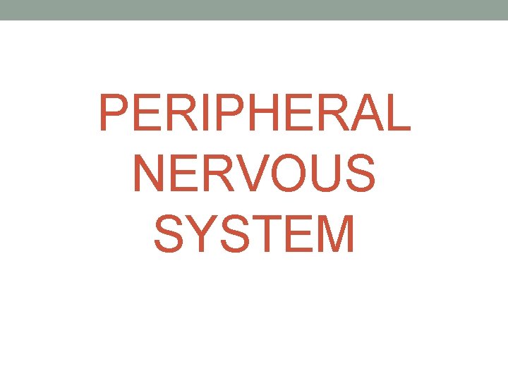 PERIPHERAL NERVOUS SYSTEM 