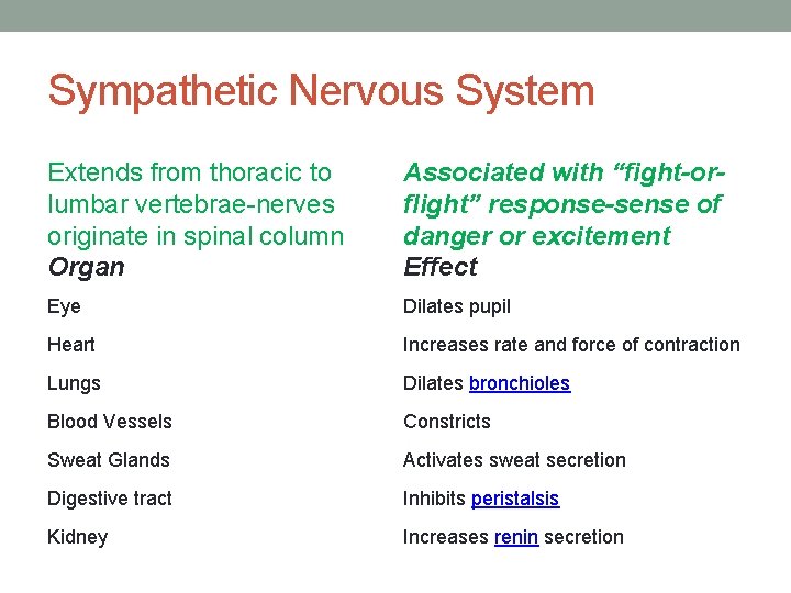 Sympathetic Nervous System Extends from thoracic to lumbar vertebrae-nerves originate in spinal column Organ