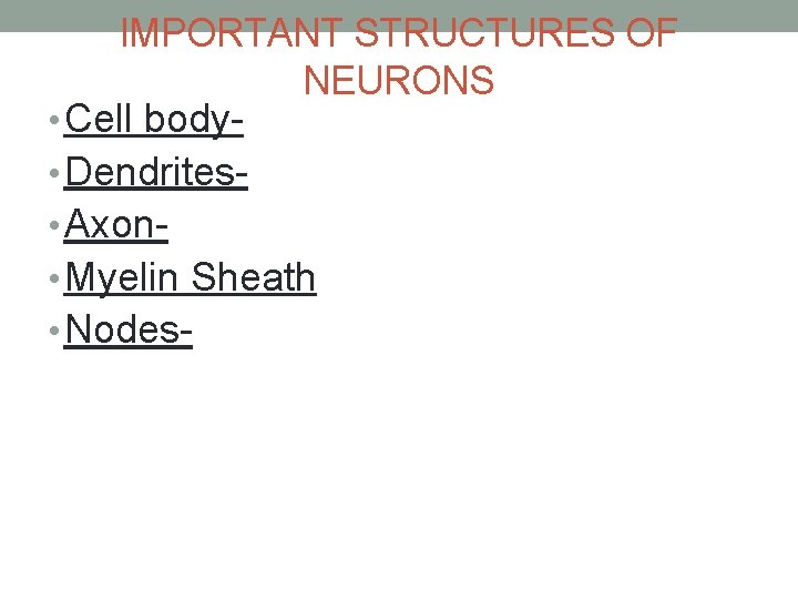 IMPORTANT STRUCTURES OF NEURONS • Cell body • Dendrites • Axon • Myelin Sheath