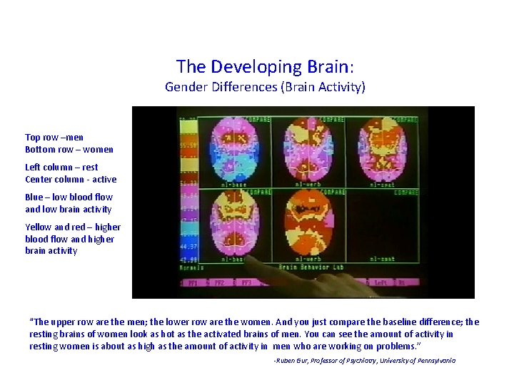 The Developing Brain: Gender Differences (Brain Activity) Top row –men Bottom row – women