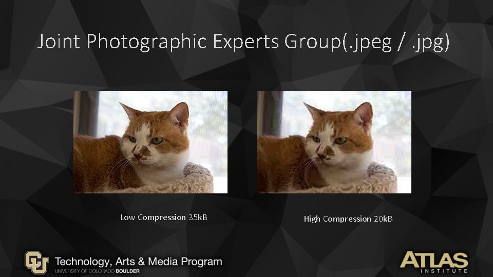 Joint Photographic Experts Group(. jpeg /. jpg) Low Compression 35 k. B High Compression Joint Photographic Experts Group(. jpeg /. jpg) Low Compression 35 k. B High Compression