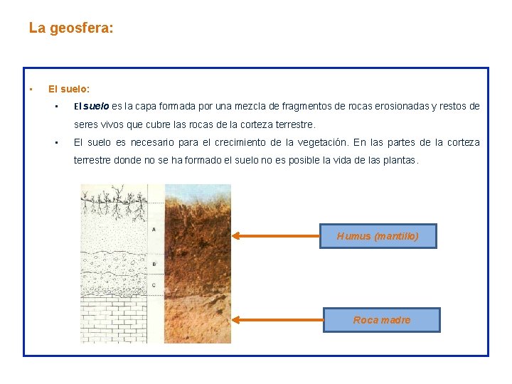 La geosfera: • El suelo es la capa formada por una mezcla de fragmentos