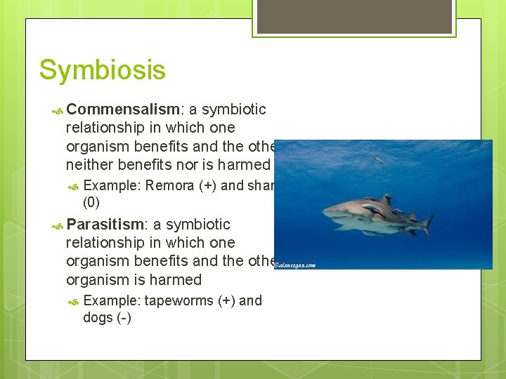 Symbiosis Commensalism: a symbiotic relationship in which one organism benefits and the other neither