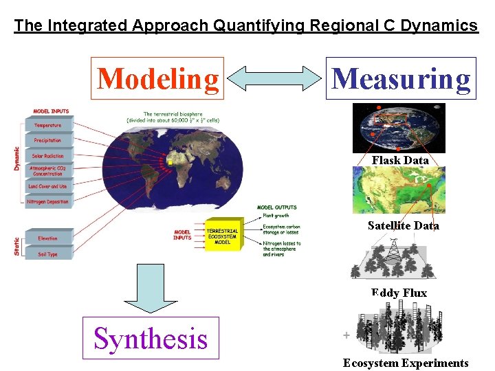 The Integrated Approach Quantifying Regional C Dynamics Modeling Measuring Flask Data Satellite Data Eddy