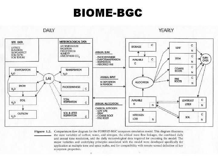 BIOME-BGC 