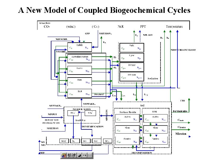A New Model of Coupled Biogeochemical Cycles 