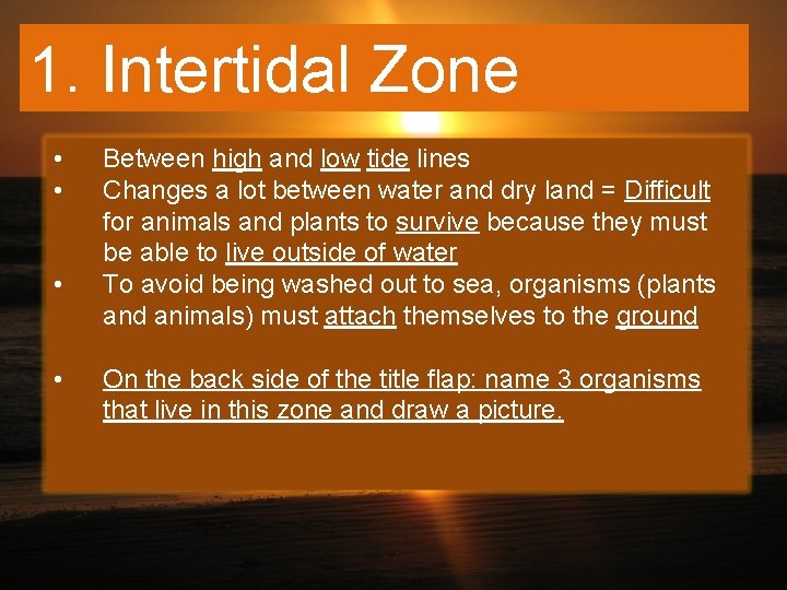 1. Intertidal Zone • • Between high and low tide lines Changes a lot