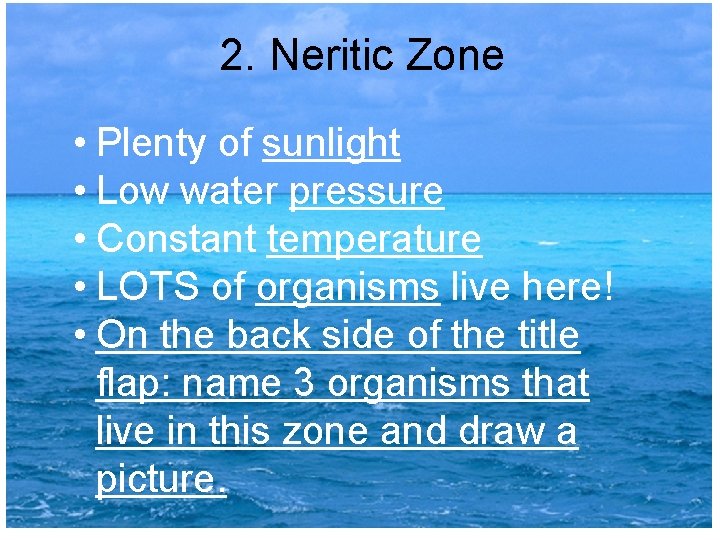 2. Neritic Zone • Plenty of sunlight • Low water pressure • Constant temperature