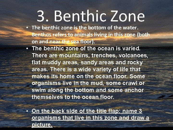 3. Benthic Zone • The benthic zone is the bottom of the water. Benthos