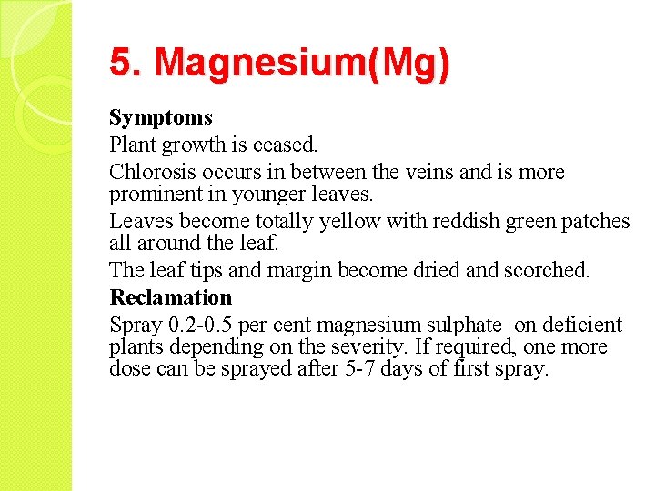 5. Magnesium(Mg) Symptoms Plant growth is ceased. Chlorosis occurs in between the veins and