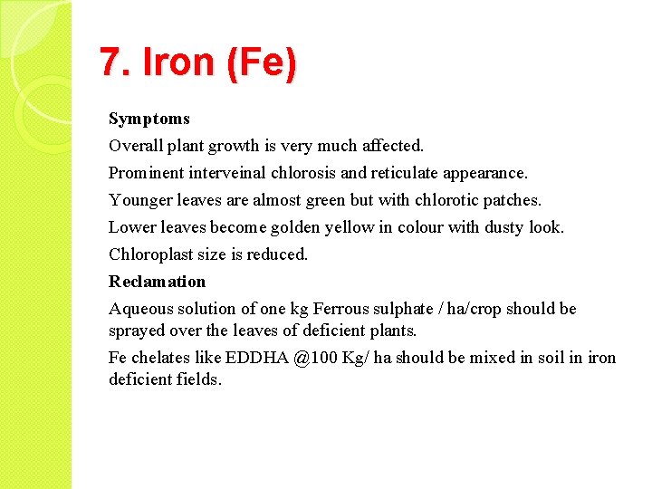 7. Iron (Fe) Symptoms Overall plant growth is very much affected. Prominent interveinal chlorosis