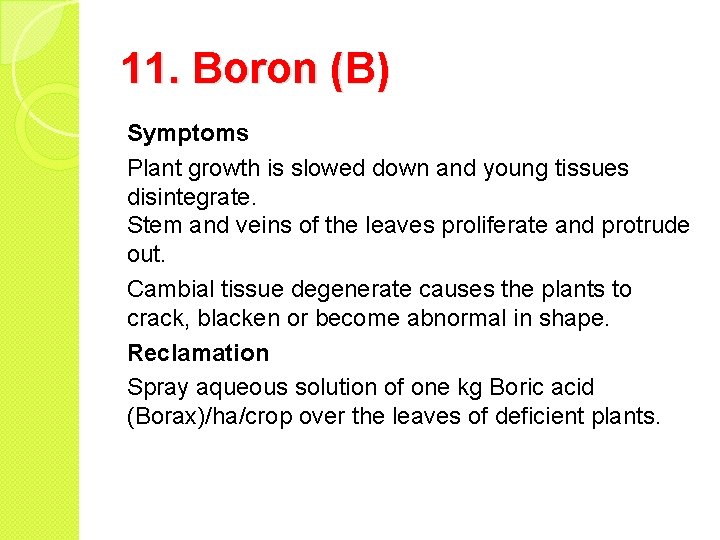 11. Boron (B) Symptoms Plant growth is slowed down and young tissues disintegrate. Stem