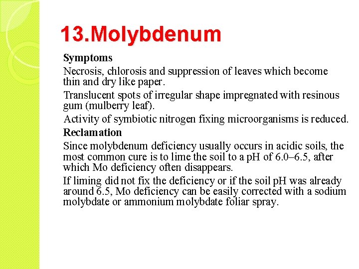 13. Molybdenum Symptoms Necrosis, chlorosis and suppression of leaves which become thin and dry